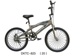 儿童自行车 DKTC-823