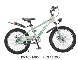 儿童自行车 DKTC-1055